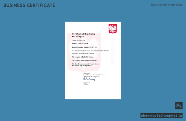 Polnische Gewerbeanmeldung – Beispielvorschau (Word und PDF)